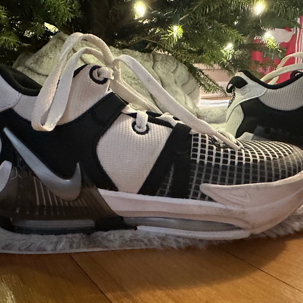 Nike LeBron Sneakers - Picture 2 of 10